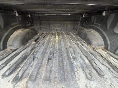 2017 Ford F-150 Platinum