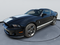 2010 Ford Mustang GT500