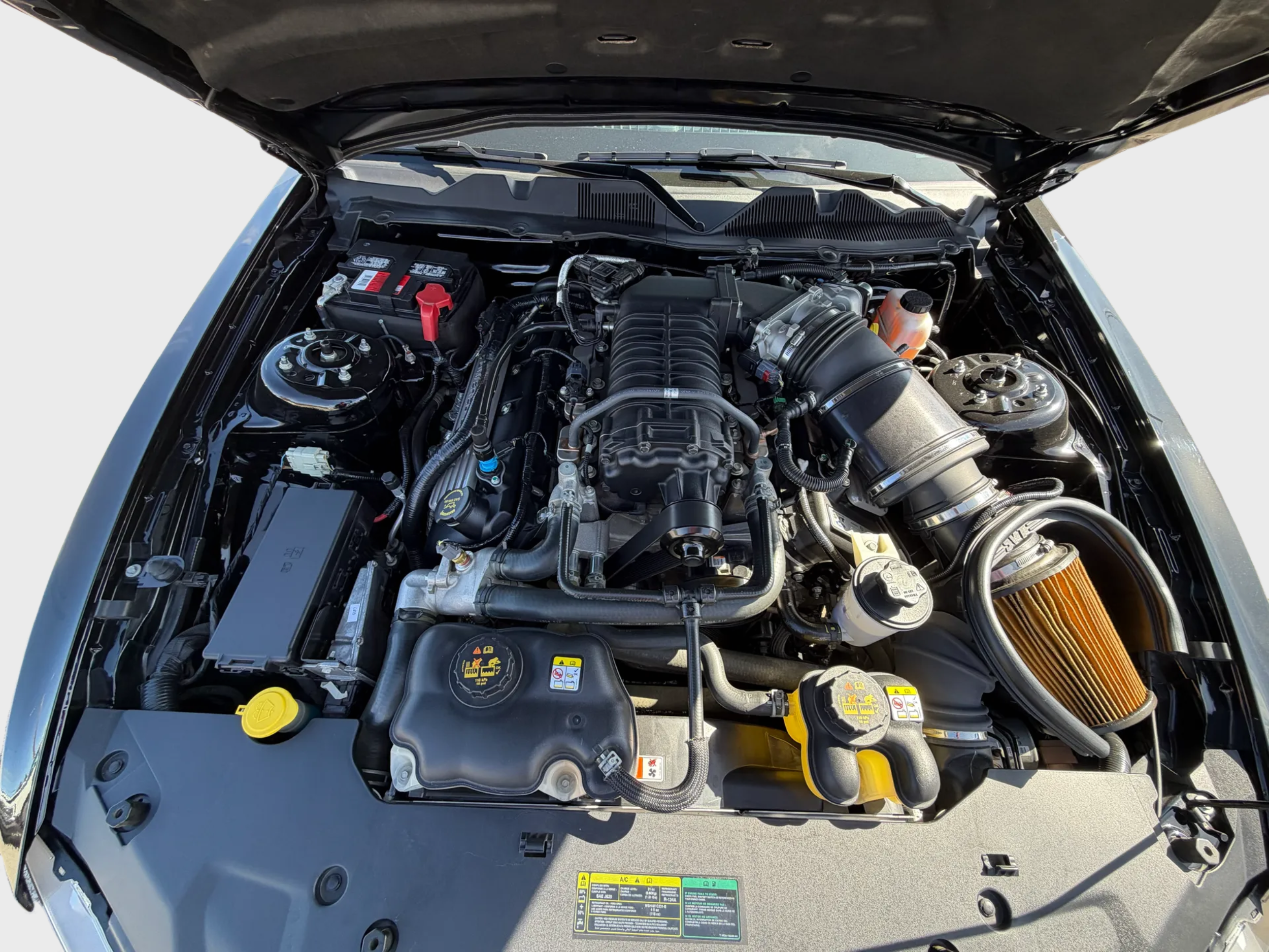 2010 Ford Mustang GT500