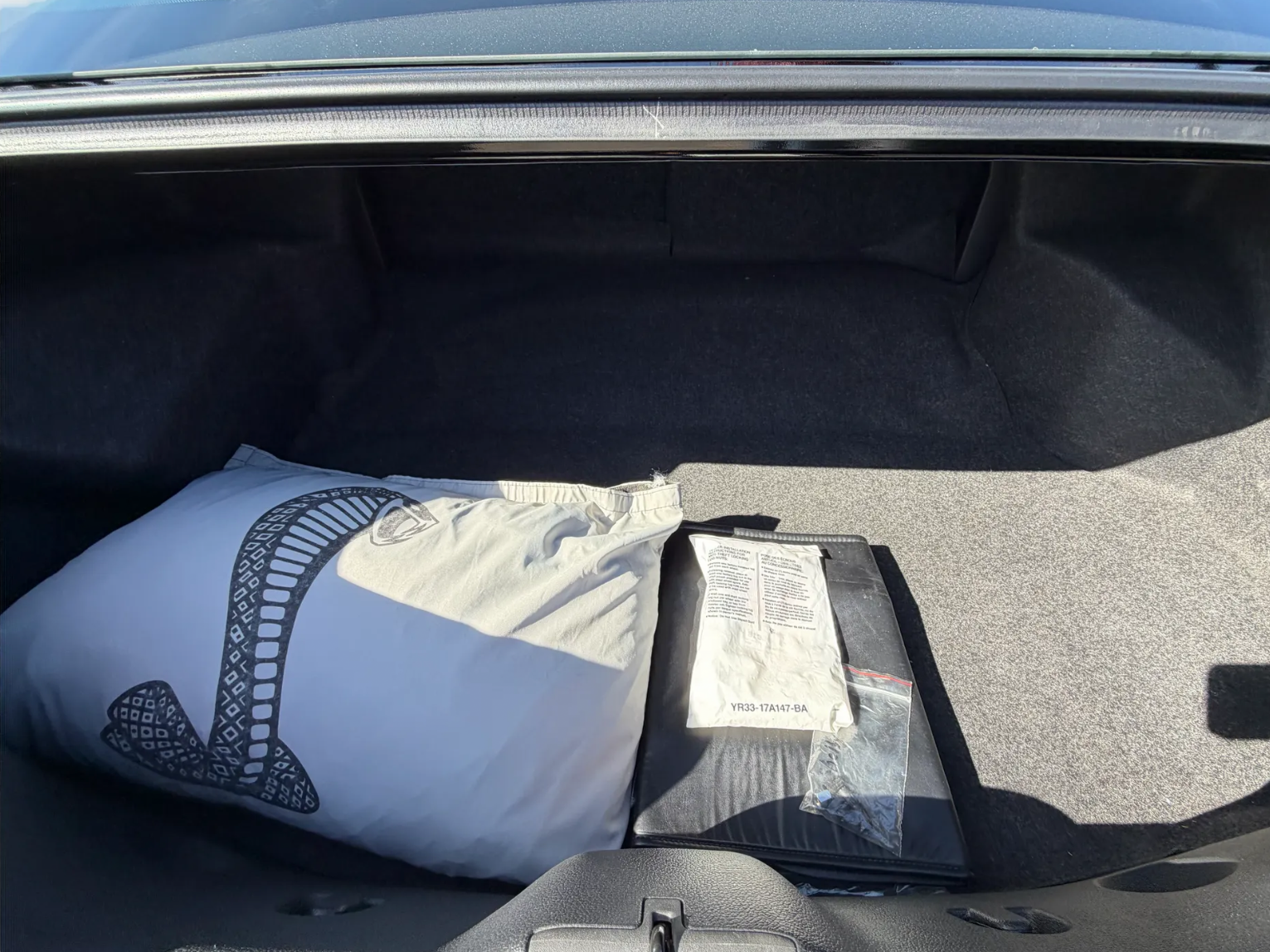 2010 Ford Mustang GT500